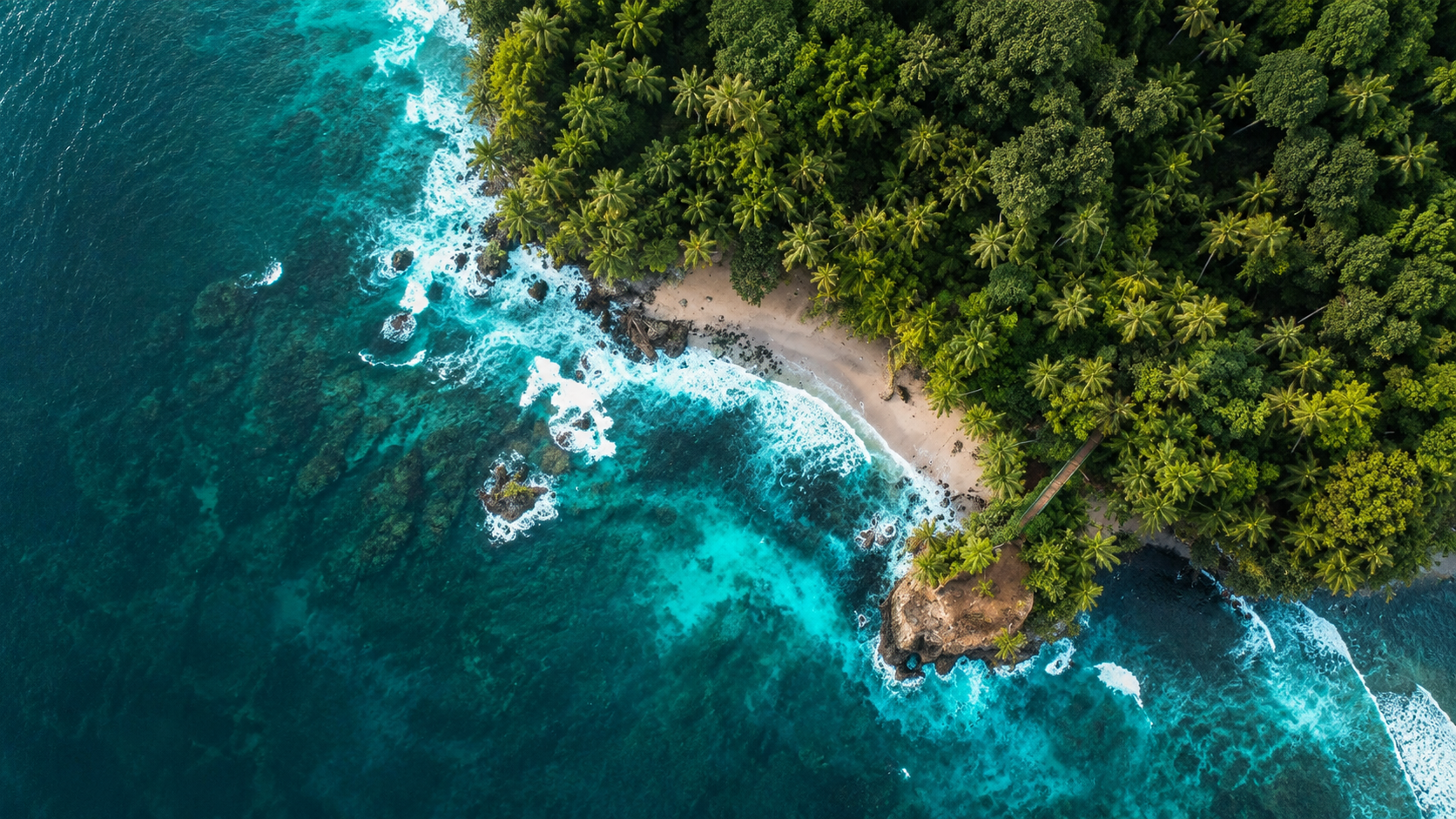 Aerial view where the jungle reaches the Caribbean sea