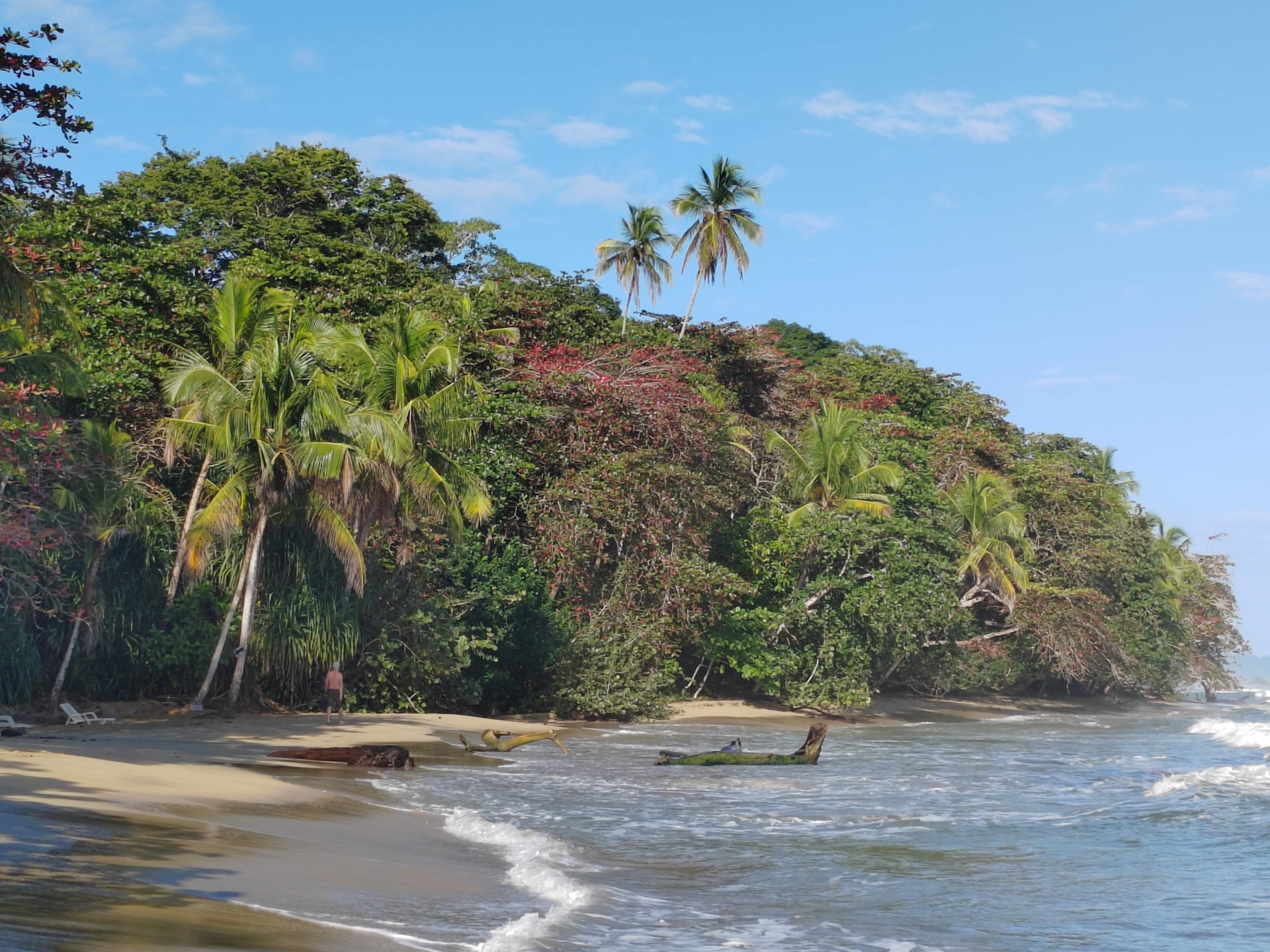 Jungle hillside meeting the shoreline at Playa Chiquita