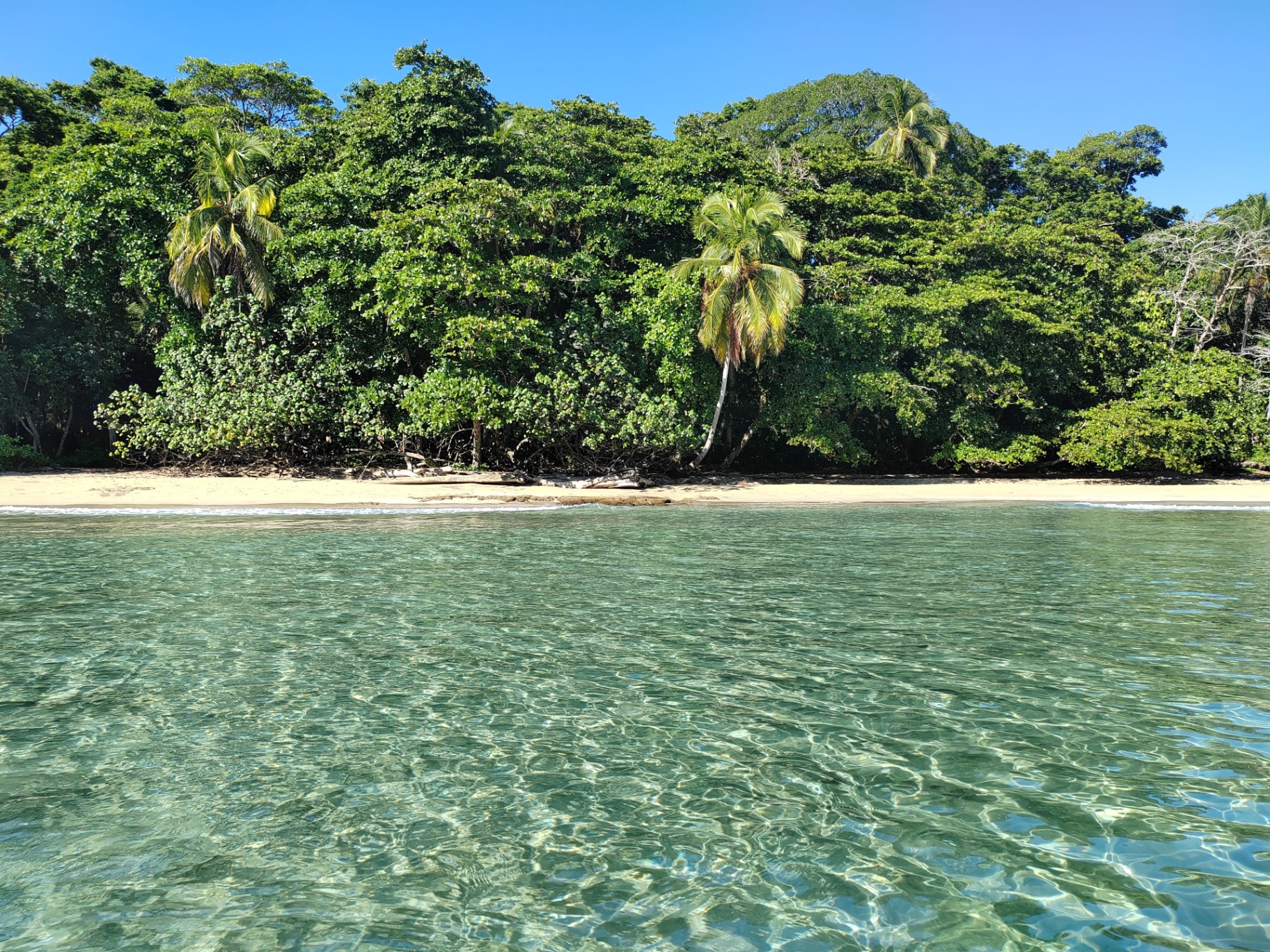 Clear turquoise water at a jungle-fringed cove