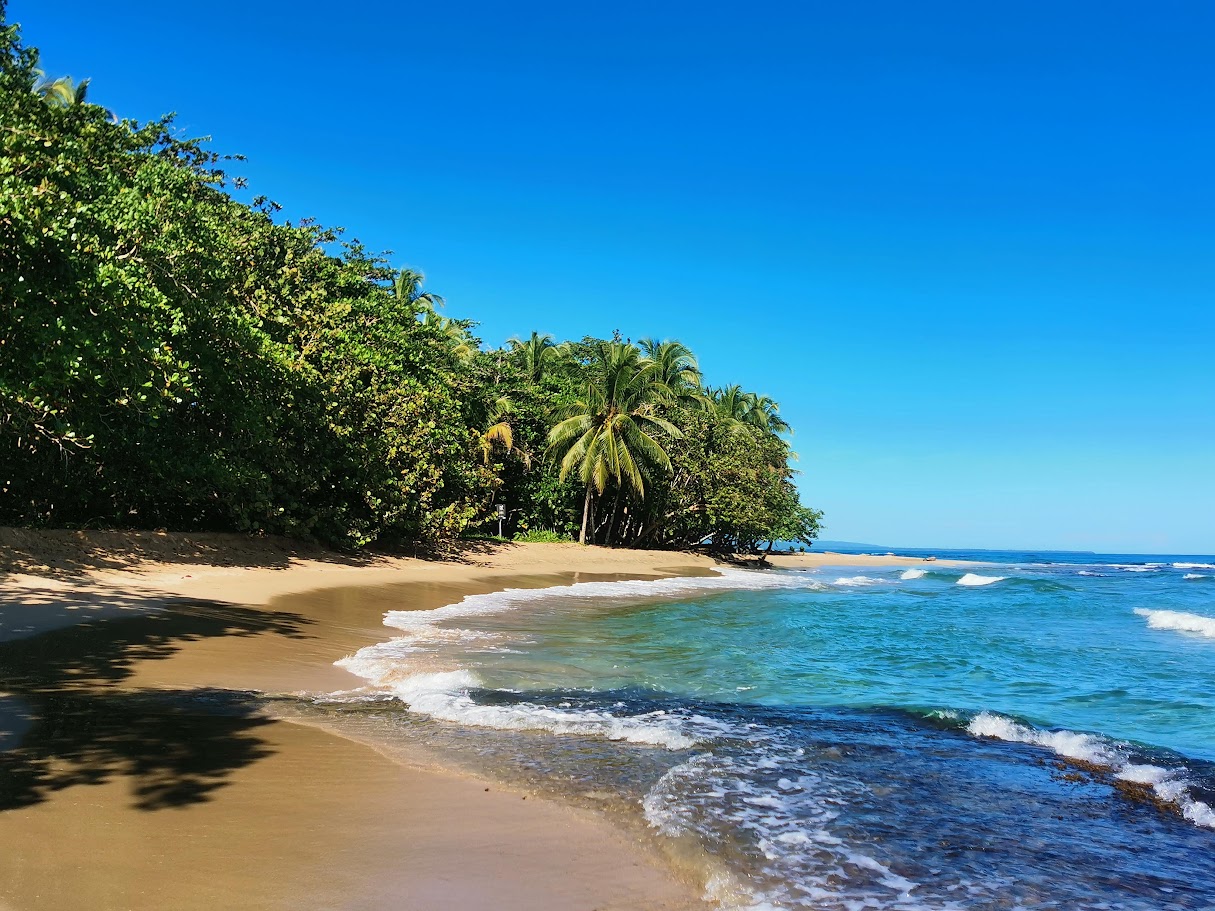 Playa Chiquita shoreline with palms