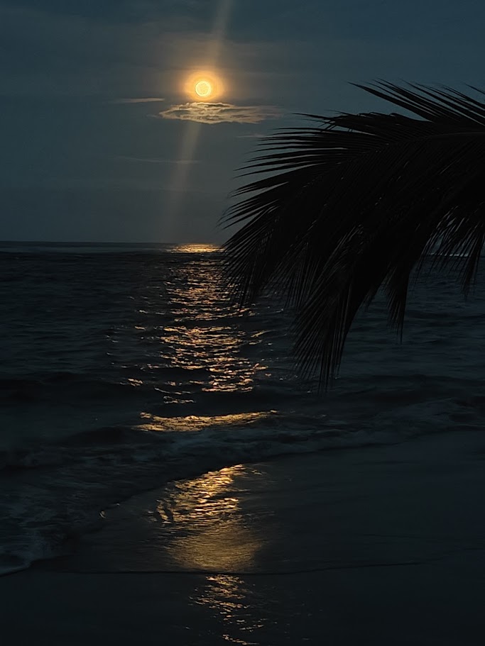 Moonlight over the sea