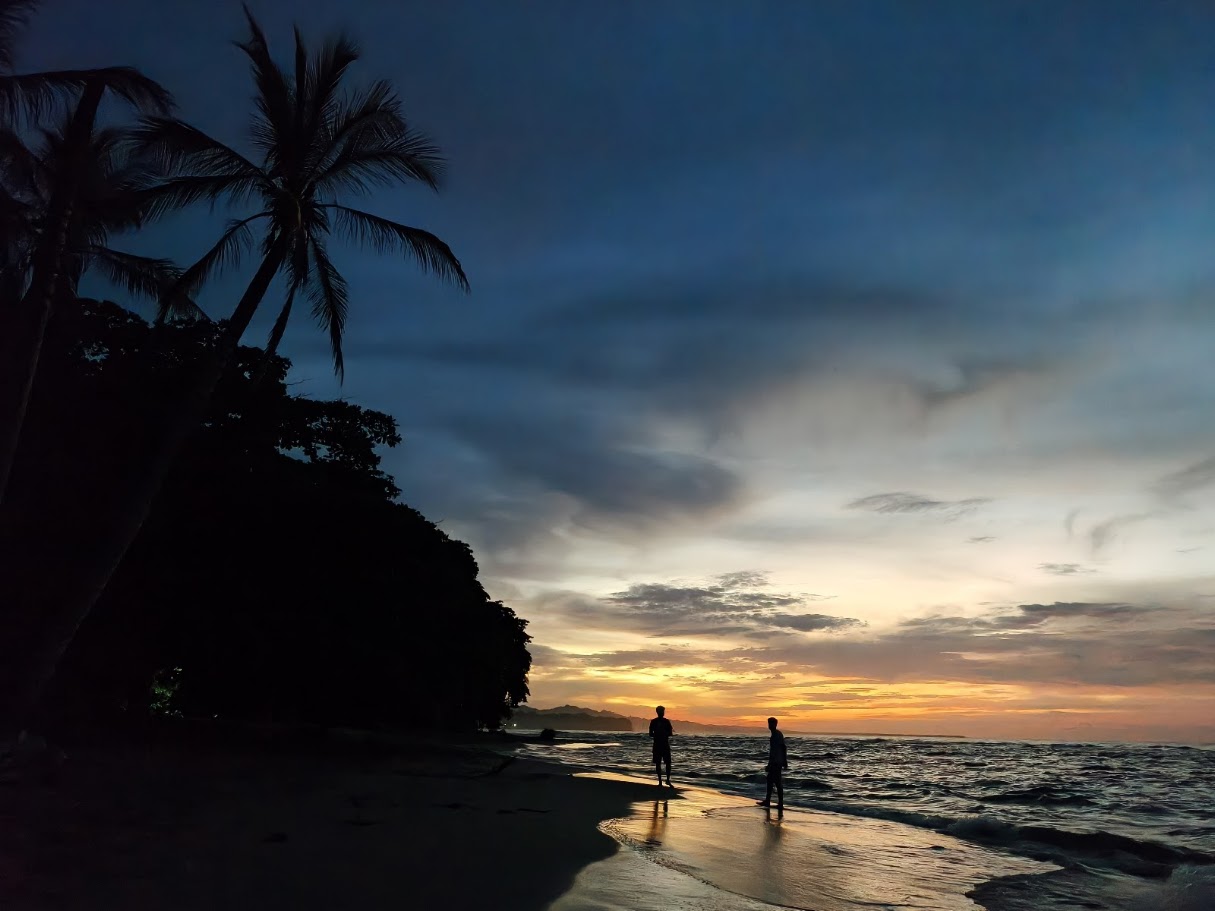 Silhouetted palms at dusk with figures by the surf