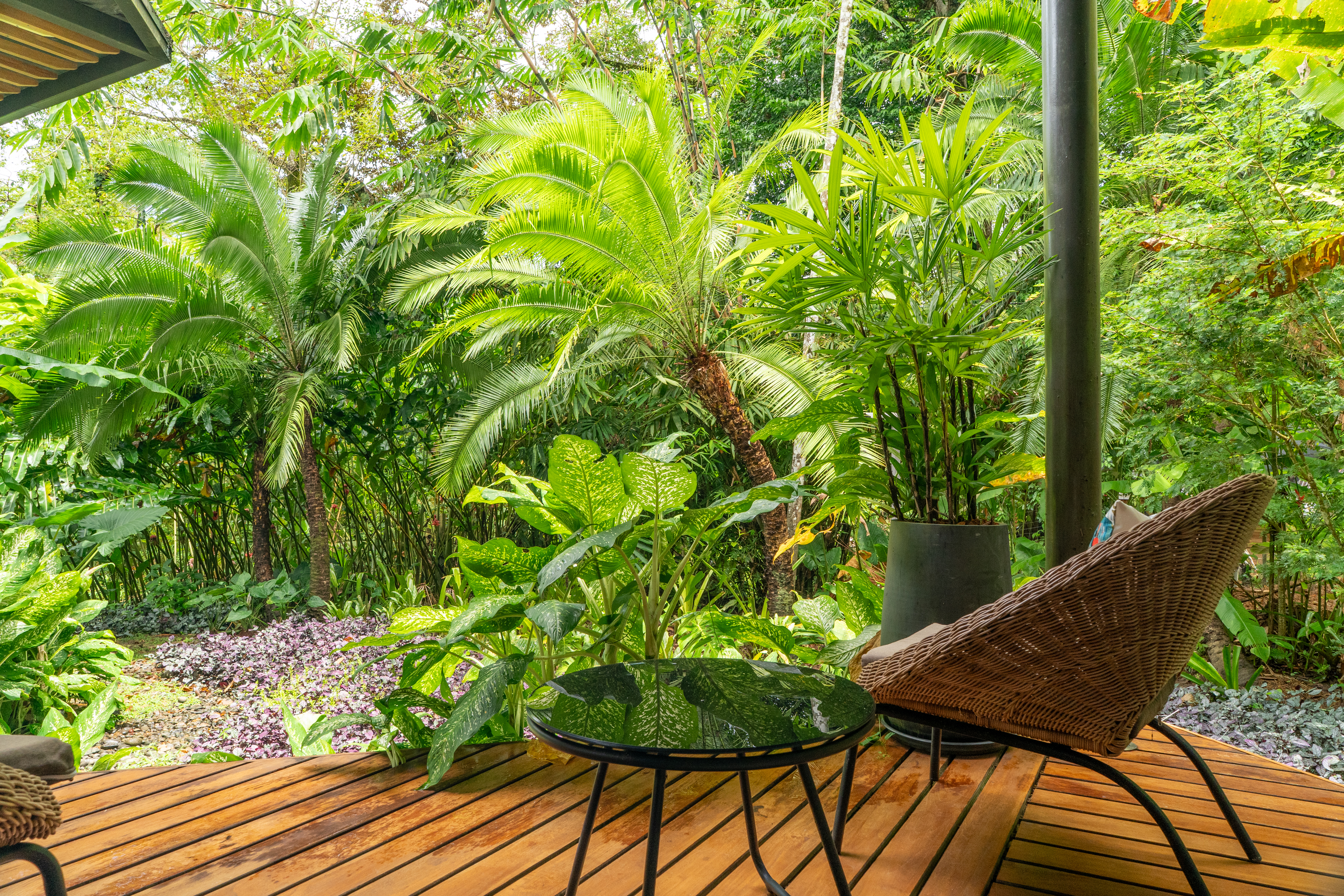The Garden 2