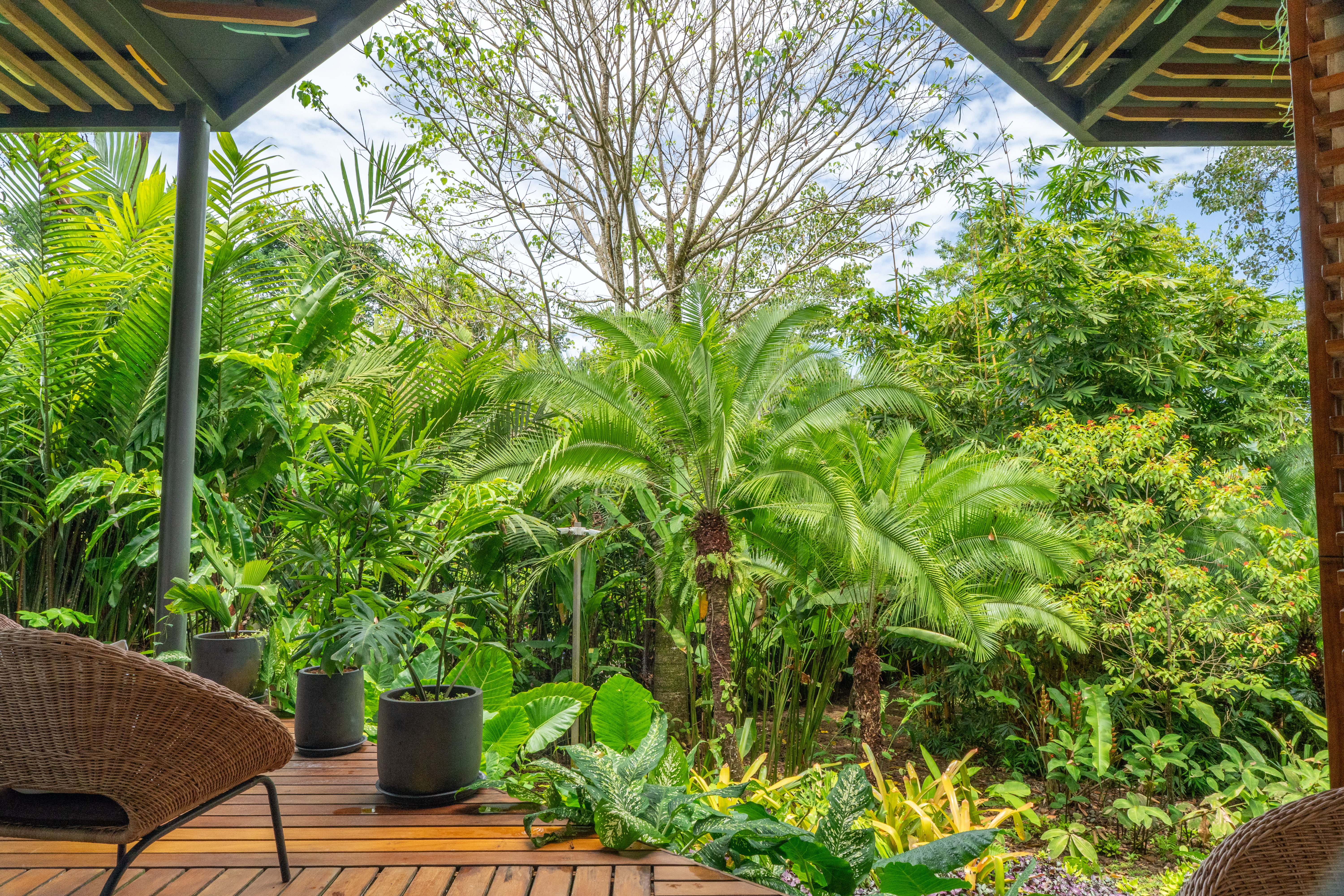 The Garden 3