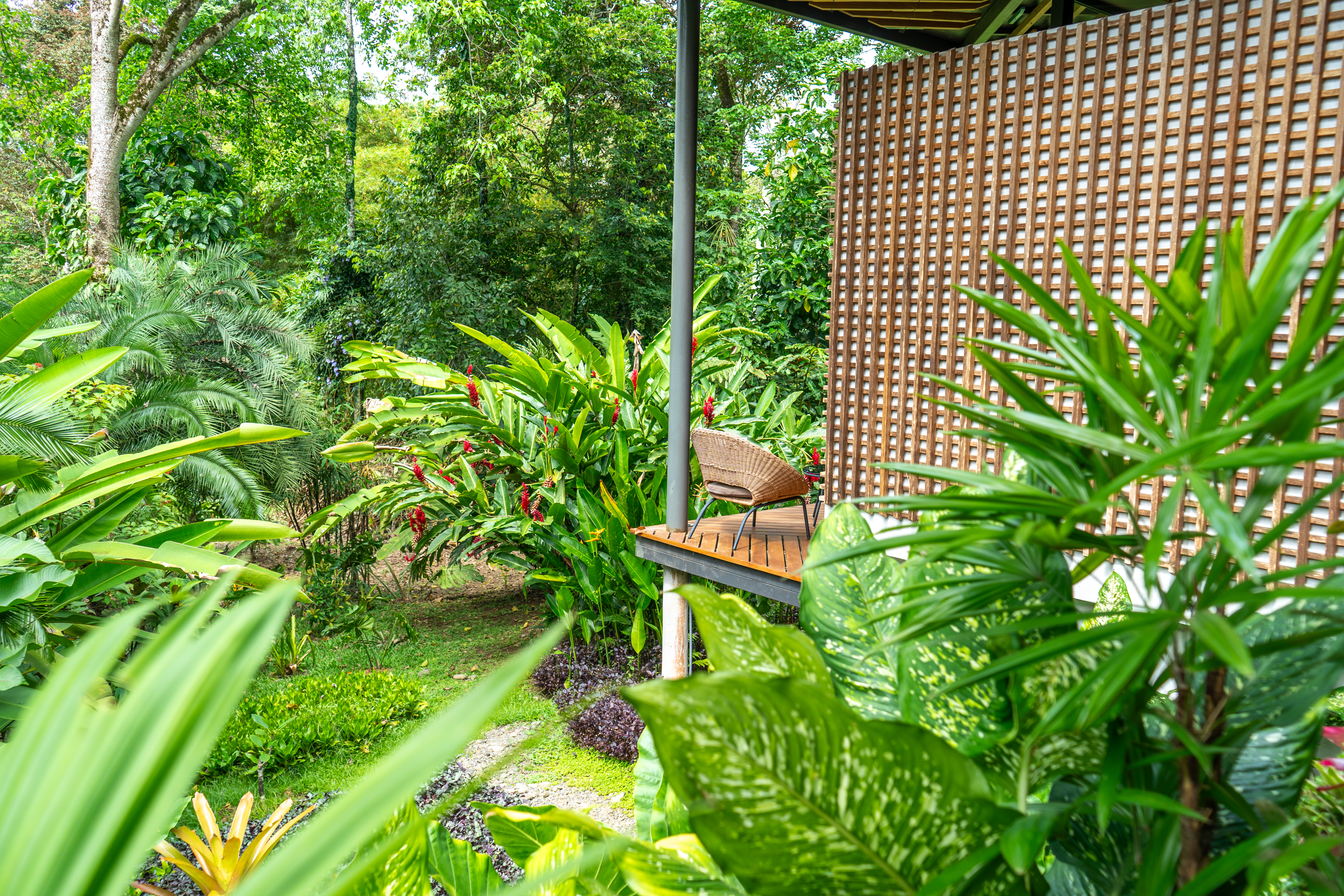 The Garden 8