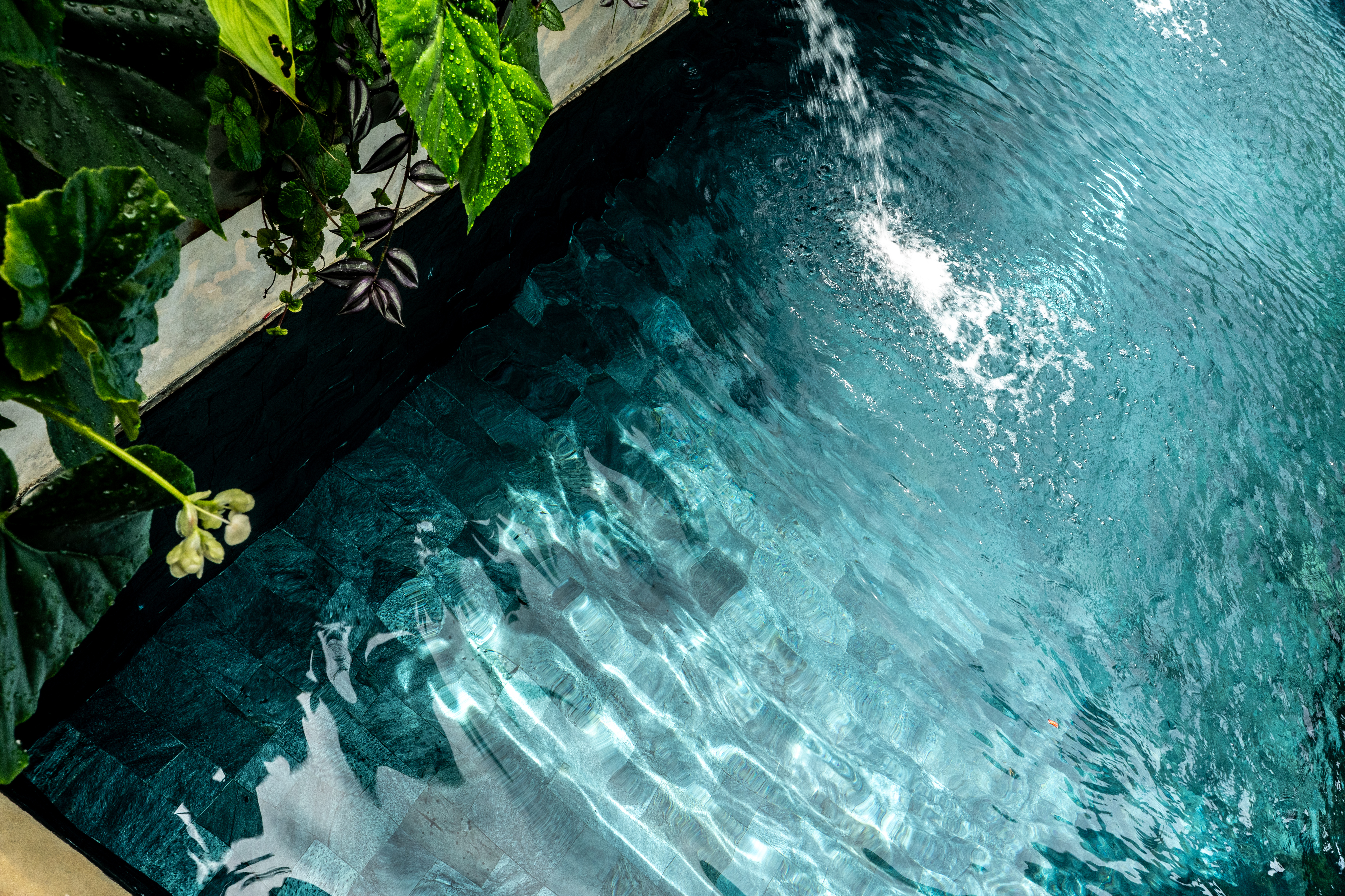 The Pool 8